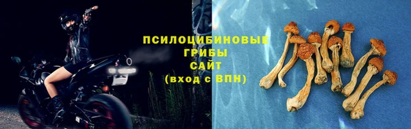 соль ск Иннополис