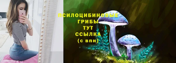 2c-b Инта
